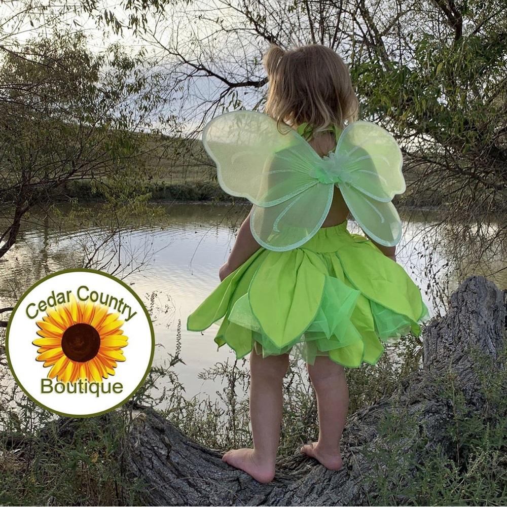 Tinker bell costume girls toddler 4T.